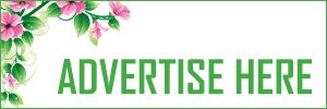 Advertise Here